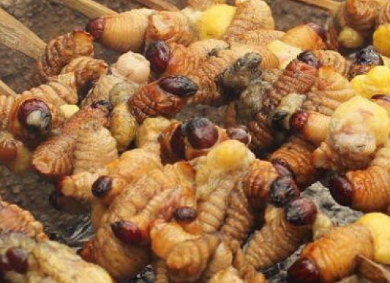 Top Camper Trailer Towing Tips