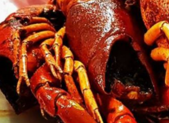 Top Camper Trailer Towing Tips