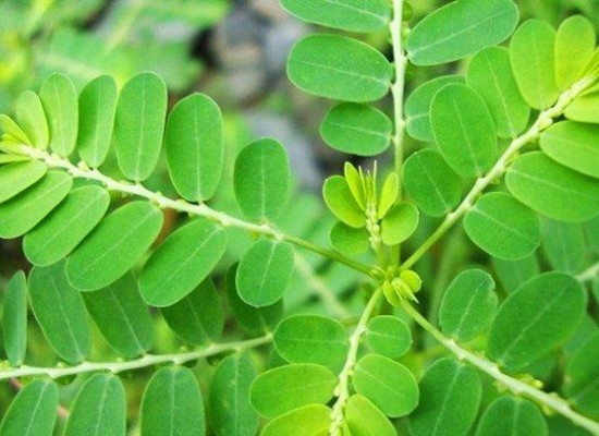 Top Camper Trailer Towing Tips