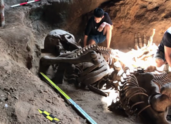 Top Camper Trailer Towing Tips