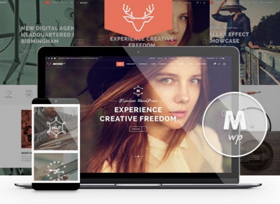 Top Camper Trailer Towing Tips